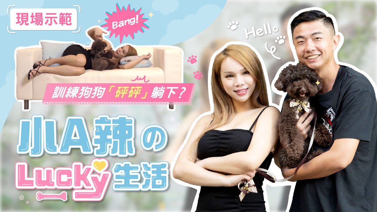 PALAOPO STUDIO - 熊爸估狗 ft.小A辣