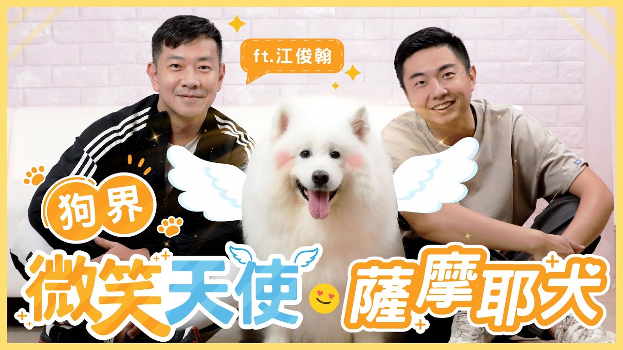 PALAOPO STUDIO - 熊爸估狗 ft.江俊翰