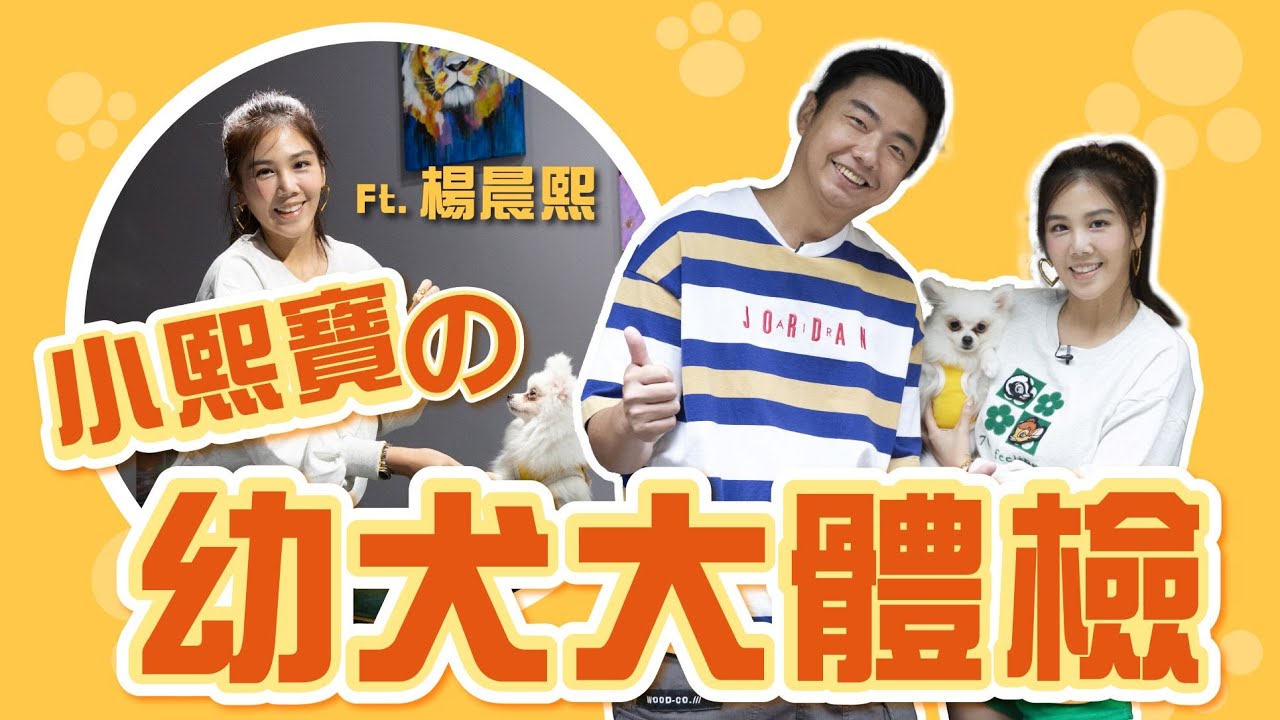 PALAOPO STUDIO - 熊爸估狗 ft.楊晨熙
