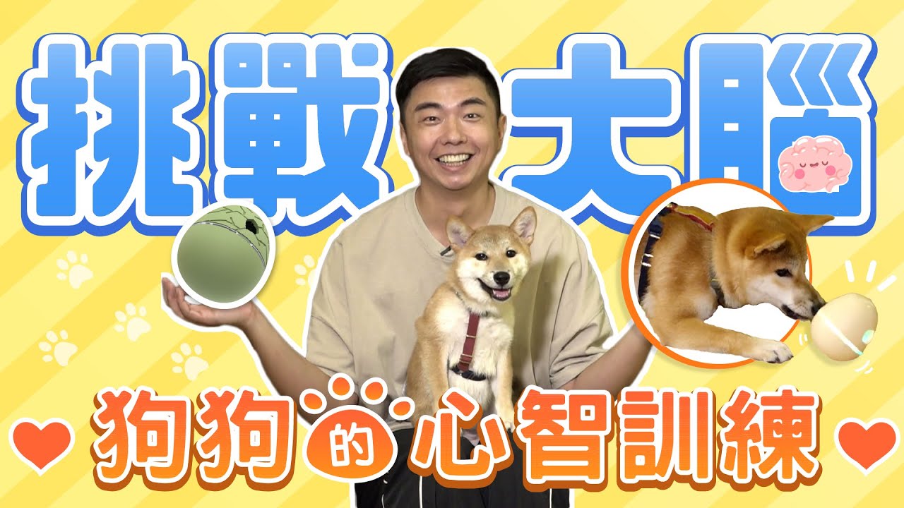 PALAOPO STUDIO - 熊爸估狗 智能互動寵物蛋